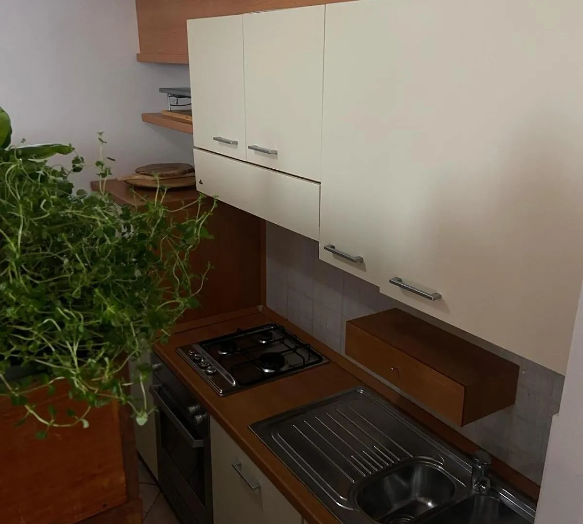 Quercianella Domus Apartment Livorno